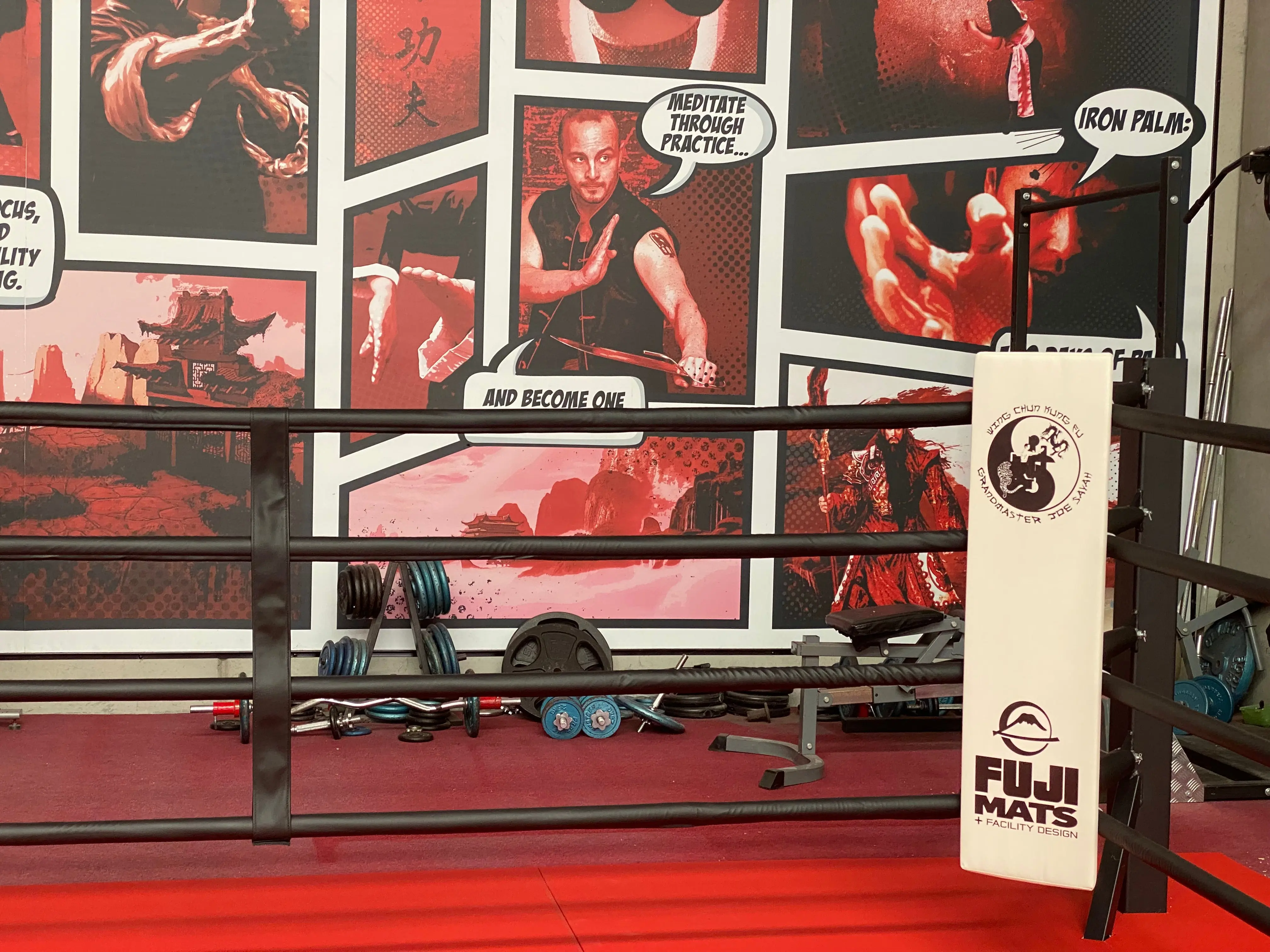 Fuji Boxing Ring - Image 15