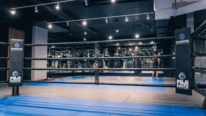 Fuji Boxing Ring - Image 3