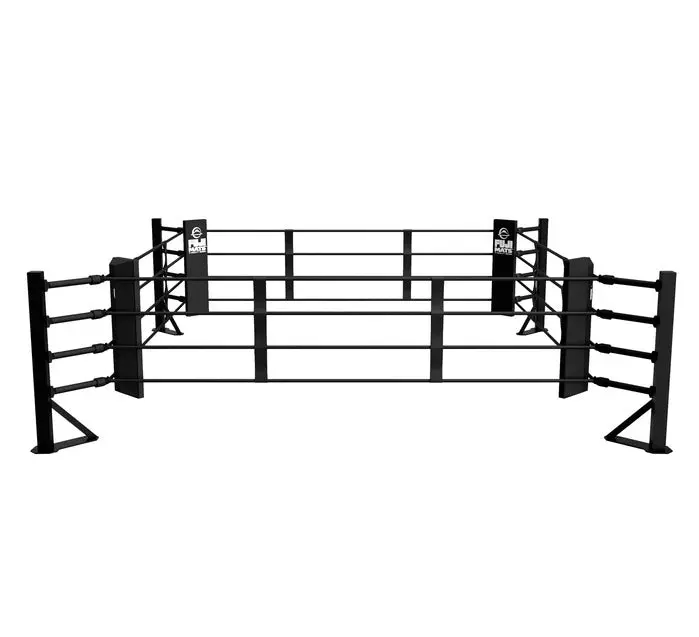 Fuji Boxing Ring - Image 5