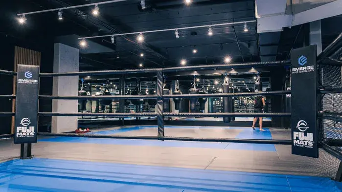 Fuji Boxing Ring Corner Pads