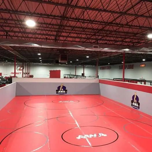 Fuji Commercial Roll Out Mats - Image 4