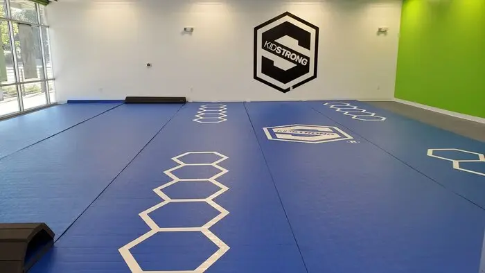 Fuji Commercial Roll Out Mats - Image 5