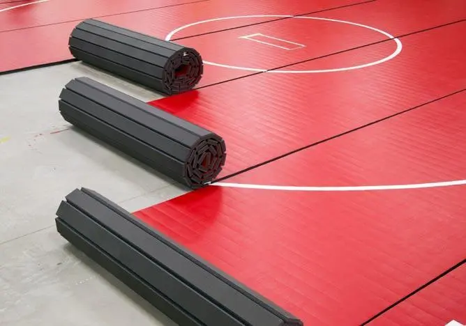 Fuji Commercial Roll Out Mats - Image 6
