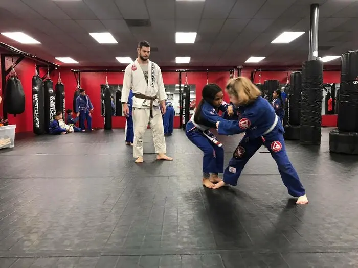 Fuji Commercial Roll Out Mats - Image 8