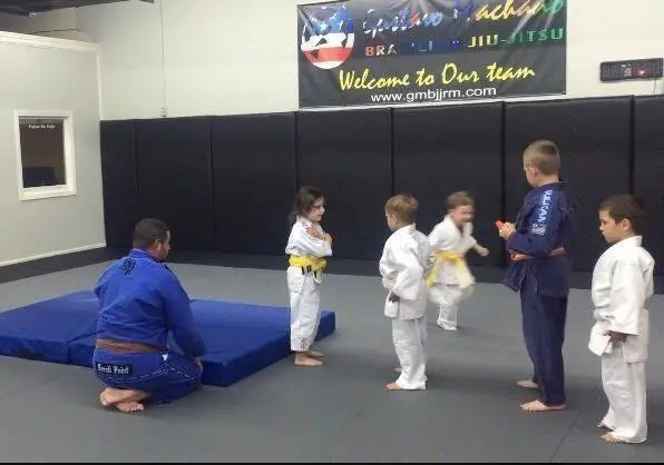 Fuji Crash Mat - Image 4