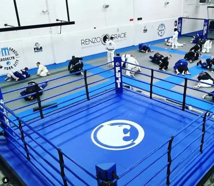 Fuji Custom Boxing Ring Floor - Image 9