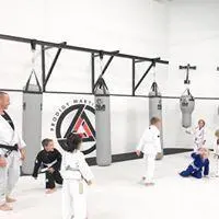 Fuji Custom Heavy Bags - Image 11