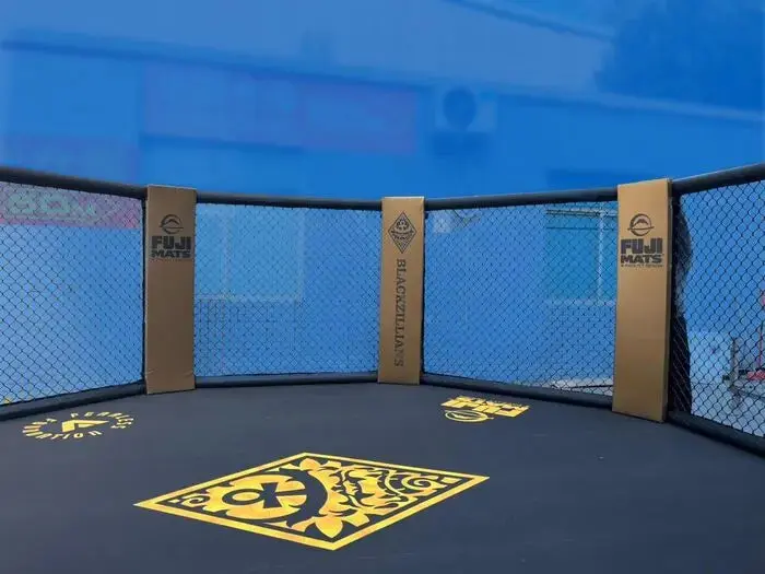 Fuji Custom Made MMA Cage - Image 5