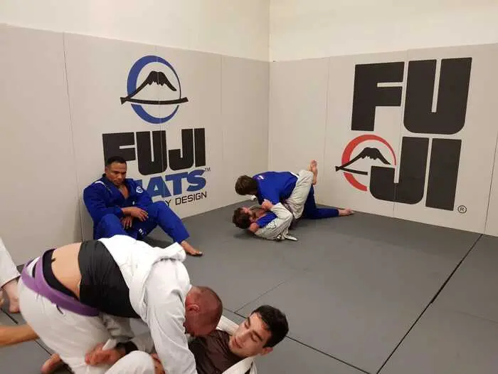 Fuji Euro Wall Pads - Image 7