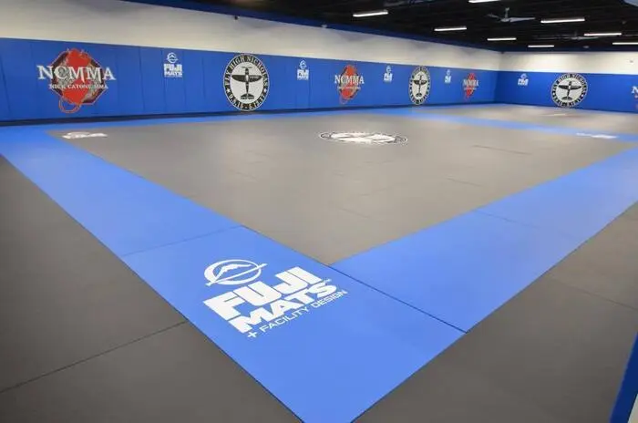 Fuji Euro Wall Pads - Fuji Logo - Image 2