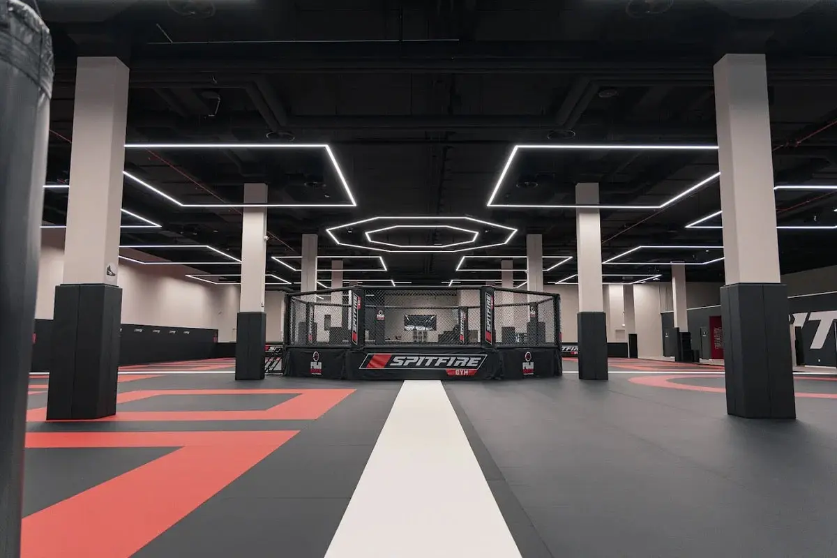 FUJI Event Series MMA Cage - Image 10