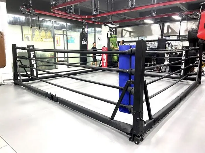 Fuji Fold-Away Boxing Ring - Image 4