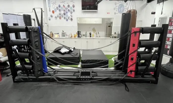 Fuji Fold-Away Boxing Ring - Image 6