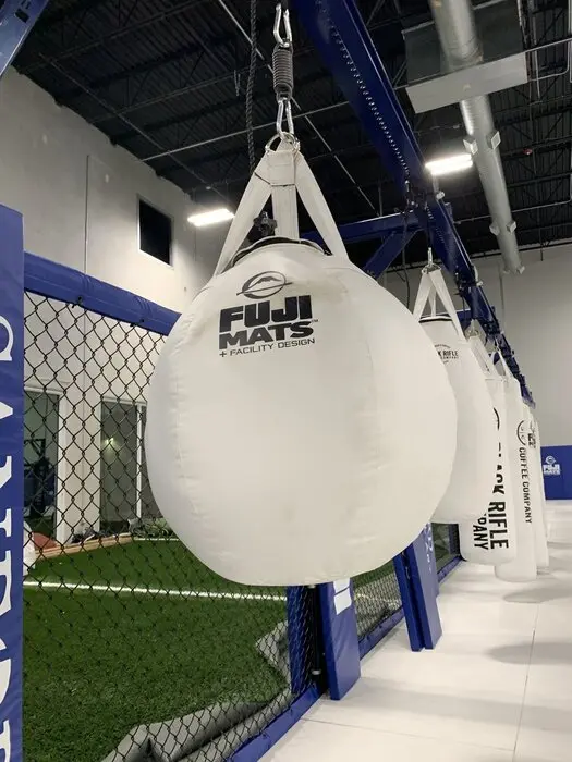 Fuji Heavy Bag Spring - Image 2
