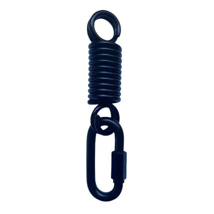 Fuji Heavy Bag Spring - Image 4