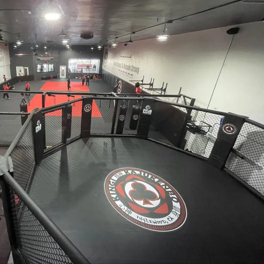 Fuji MMA Cage Floor Cover - Image 3