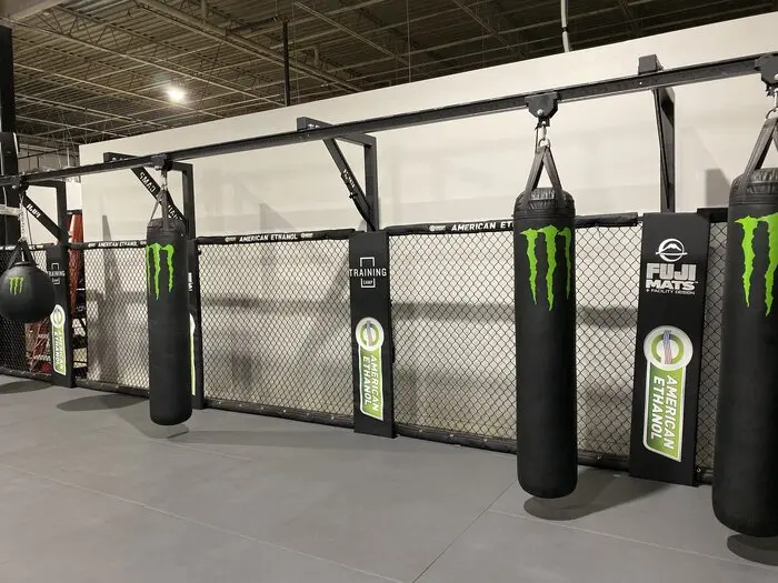 Fuji MMA Cage Post Bumper Pad - Image 4