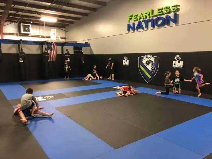 Fuji Pro Series MMA Mats - Image 4
