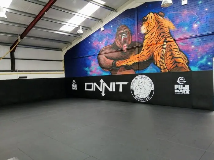 Fuji Pro Series MMA Mats - Image 9