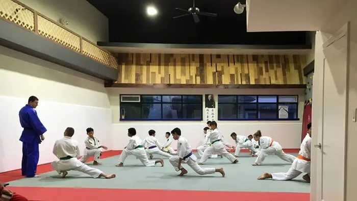Fuji Pro Series Tatami Mats - Image 10