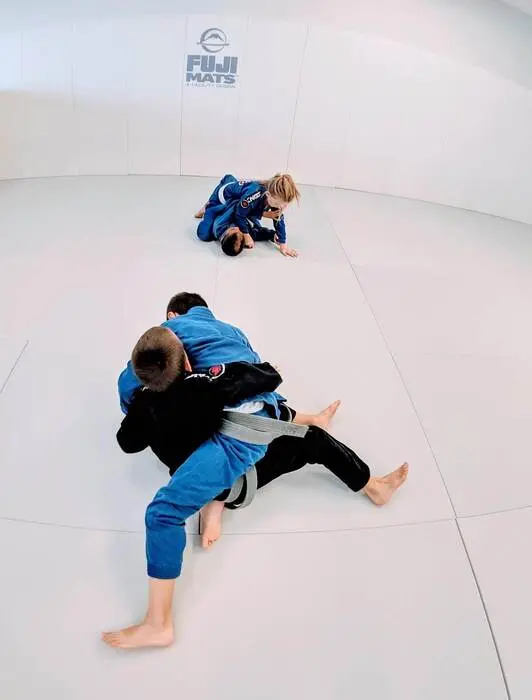 Fuji Pro Series Tatami Mats - Image 11