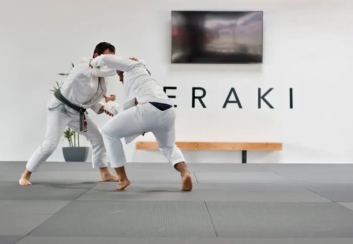 Fuji Pro Series Tatami Mats - Image 14