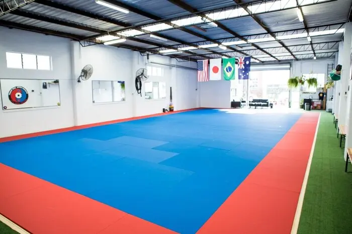 Fuji Pro Series Tatami Mats - Image 4