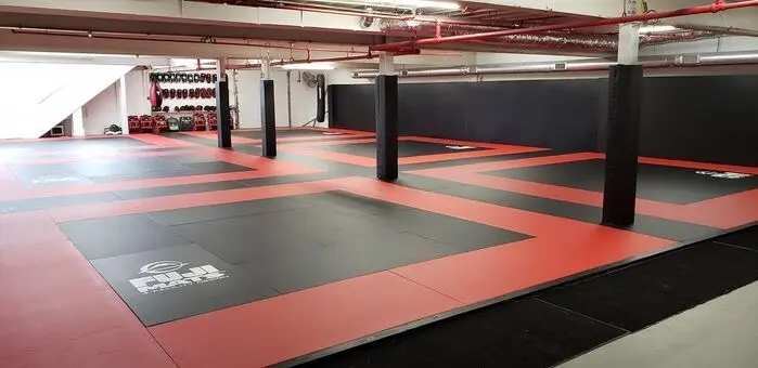 Fuji Training Series MMA Half Mat - Image 3