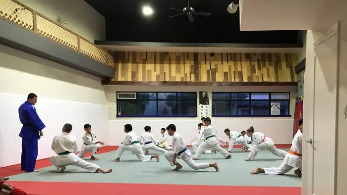 Fuji Training Tatami Mats - Image 3