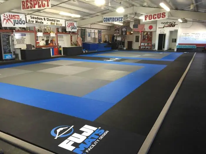 Fuji Training Tatami Mats - Image 4
